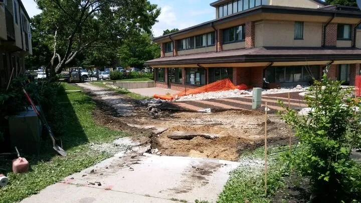 Trusted yard cleanup service in Madison, WI - Burkle Landscaping