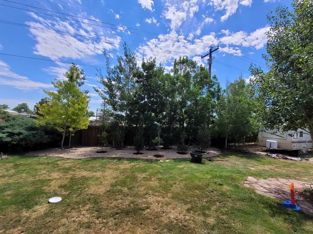 Professional yard cleanup service in Fort Collins, CO by Burkley Landscapes