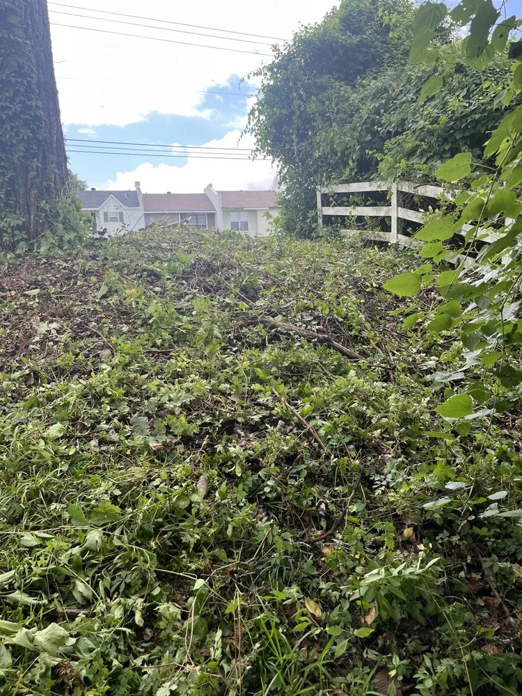 Affordable lawn mowing service for year-round maintenance in Natchitoches, LA by Burks Landscaping