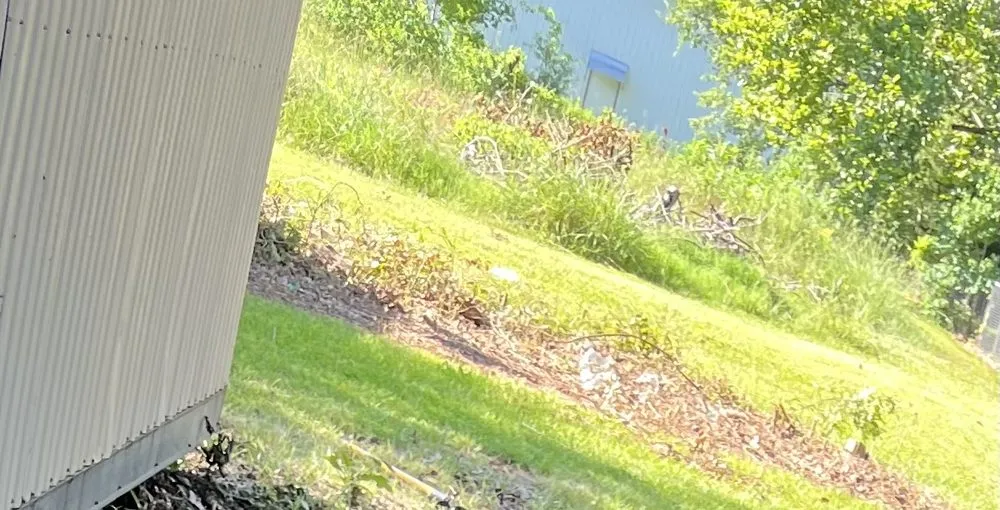 Professional garden landscaping experts serving Natchitoches, LA - Burks Landscaping