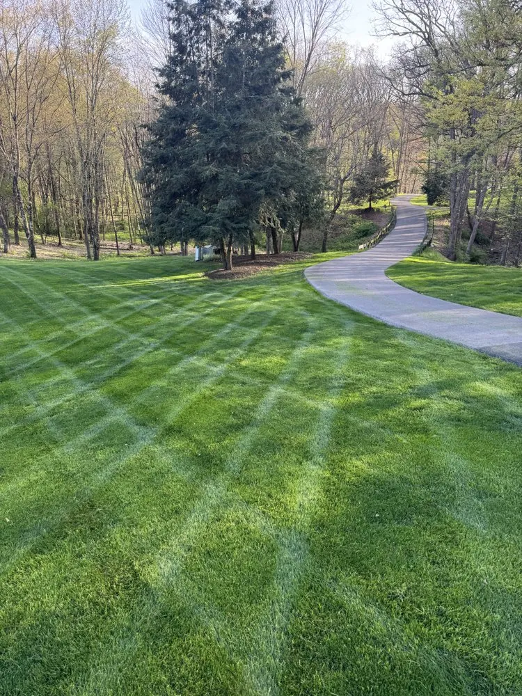 Top-rated yard maintenance in Butler, PA by Burk's Lawn & Landscaping