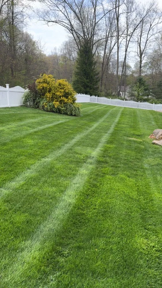 Affordable landscape design in Butler, PA - Burk's Lawn & Landscaping