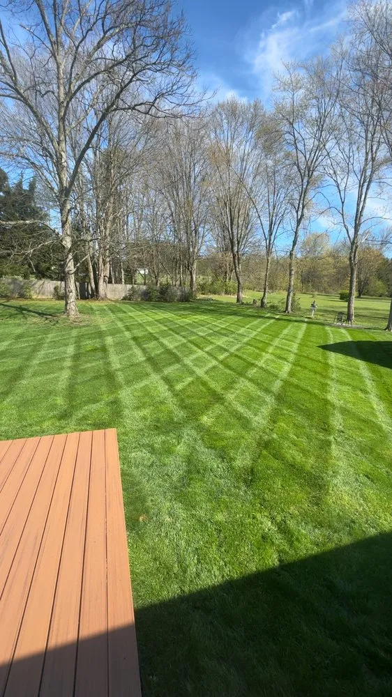 Reliable landscaping services experts serving Butler, PA - Burk's Lawn & Landscaping