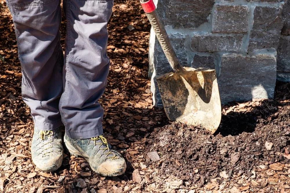 Expert landscaping services in Brentwood, TN by Burlap and Bloom