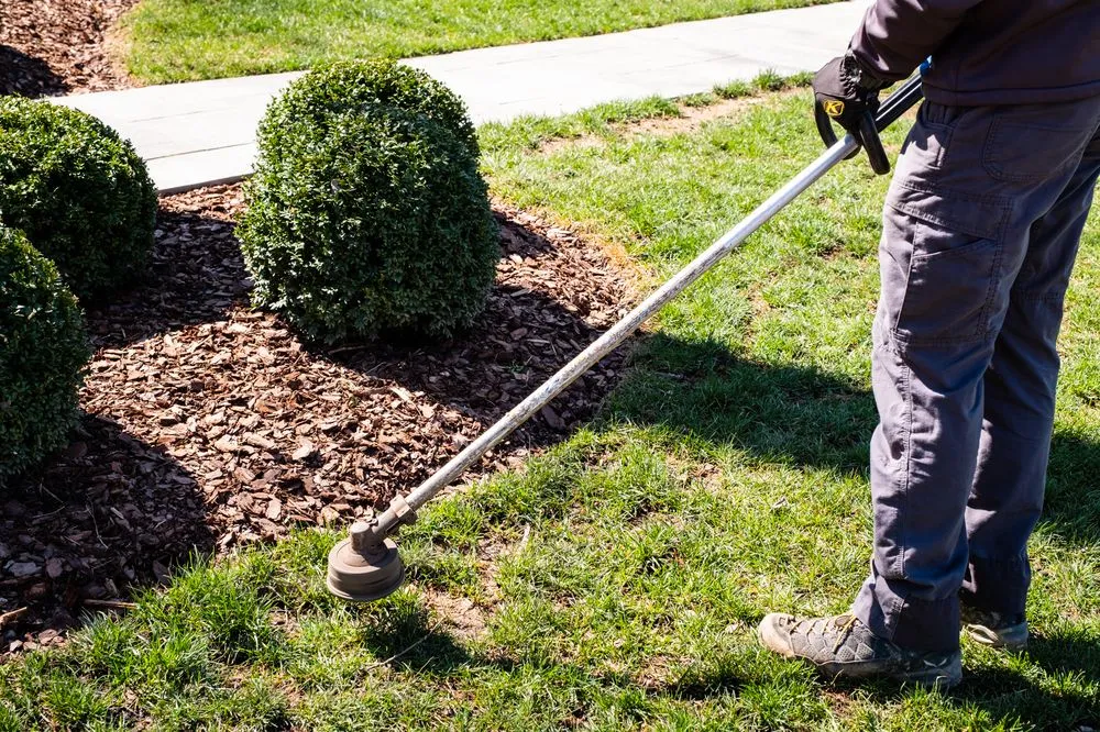 Local landscape design in Brentwood, TN by Burlap and Bloom