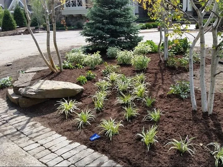 Affordable yard cleanup service near you across Roanoke, IN - Burley Landscape Design