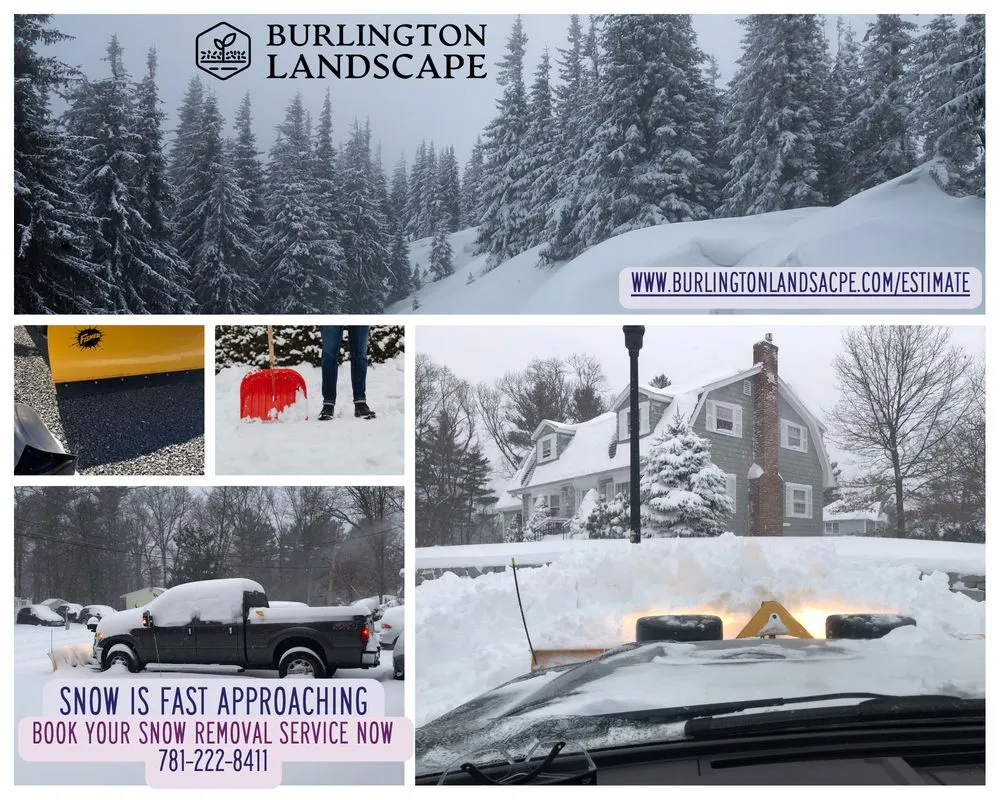 Expert landscape installation for residential properties in Burlington, MA by Burlington Landscape