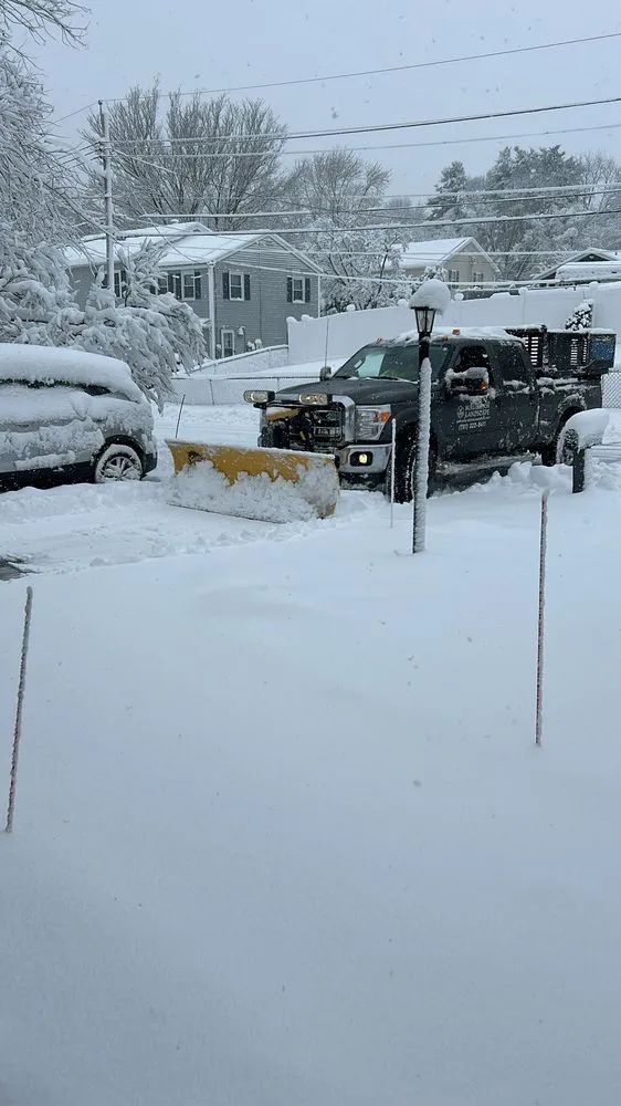 Affordable yard cleanup service in Burlington, MA - Burlington Landscape