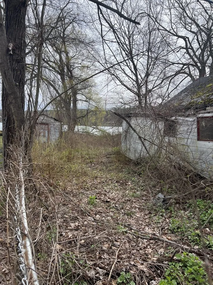 Trusted yard cleanup service near you across Nassau, NY - Burls Property Management