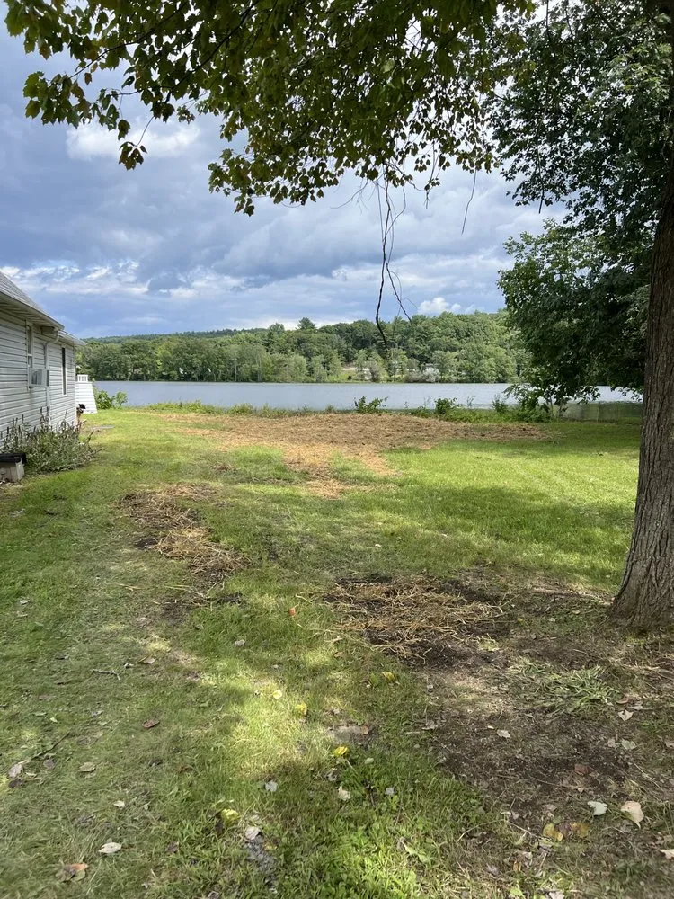 Professional yard cleanup service with custom design in Nassau, NY by Burls Property Management