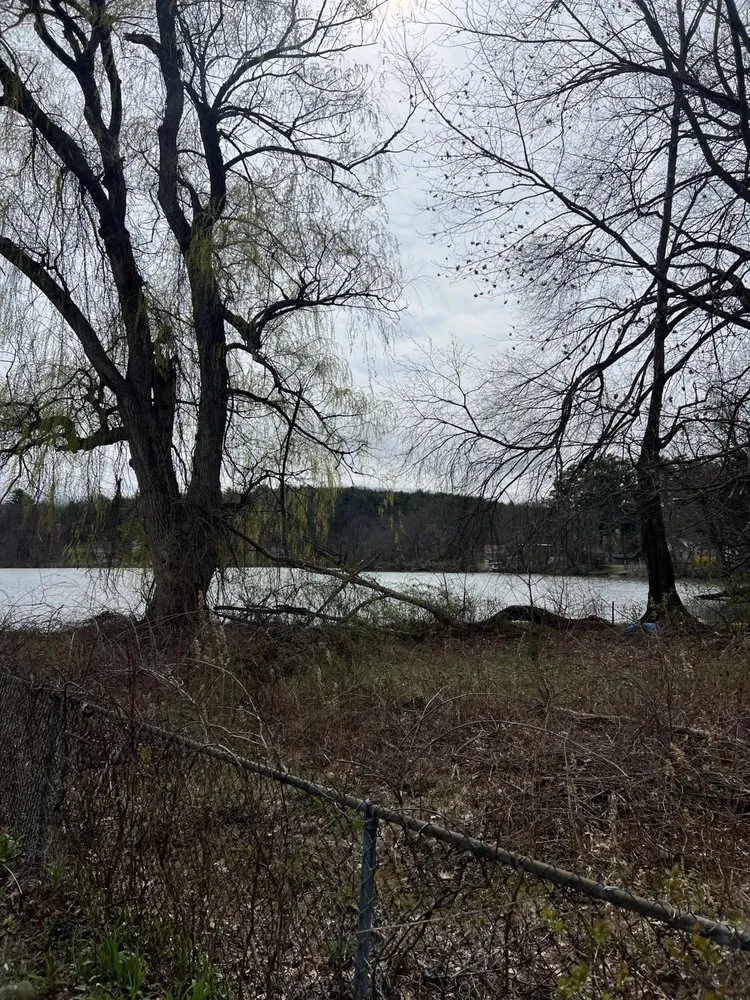 Local residential landscaping for outdoor upgrades in Nassau, NY by Burls Property Management