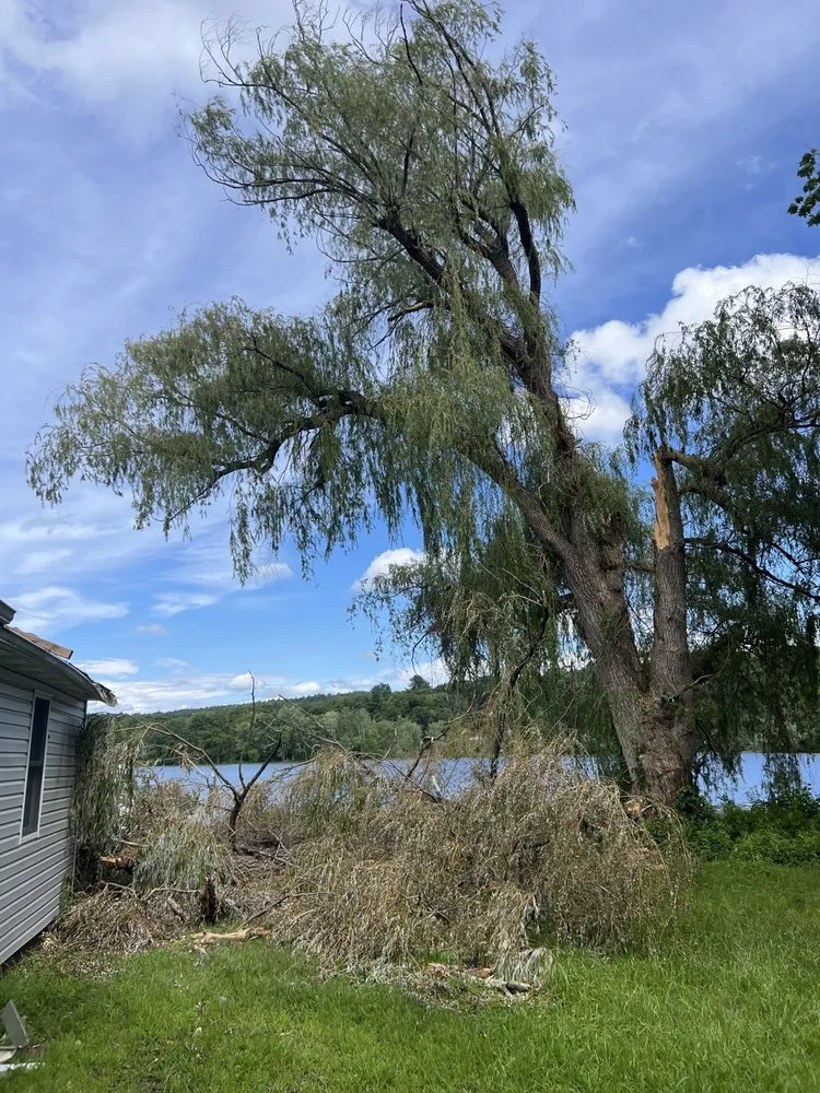 Expert outdoor landscaping for beautiful yards across Nassau, NY - Burls Property Management