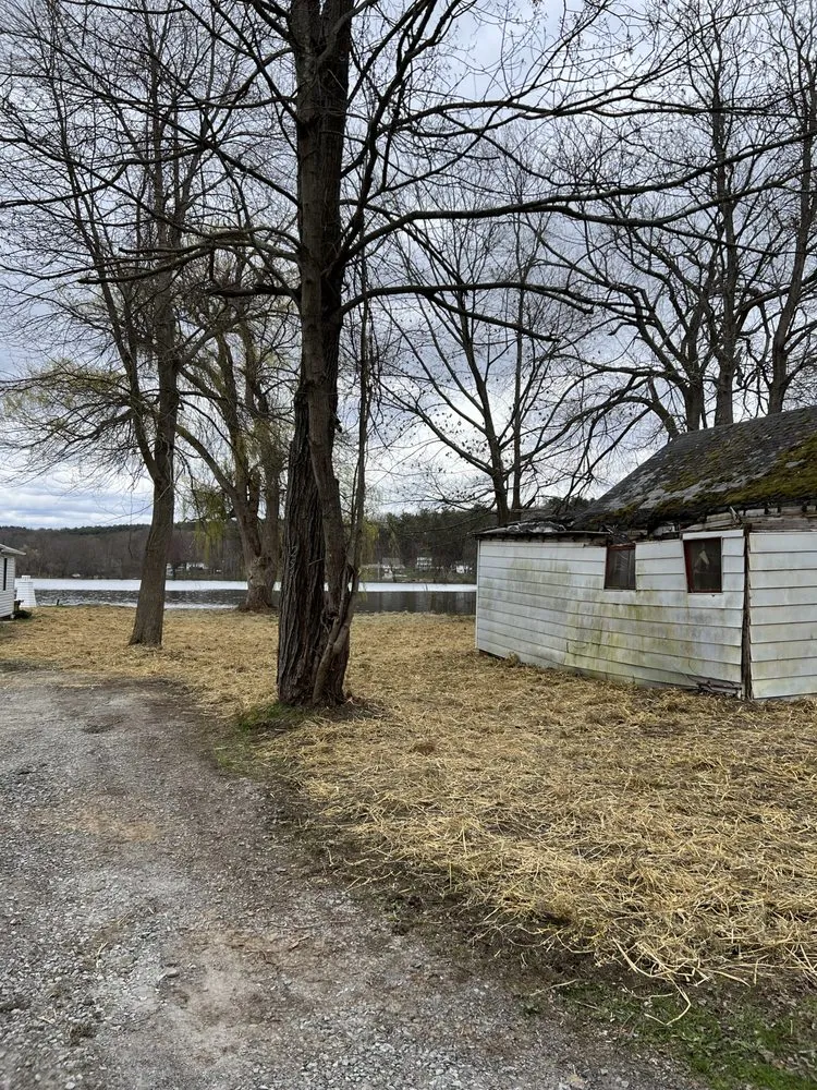 Professional landscaping services for beautiful yards across Nassau, NY - Burls Property Management