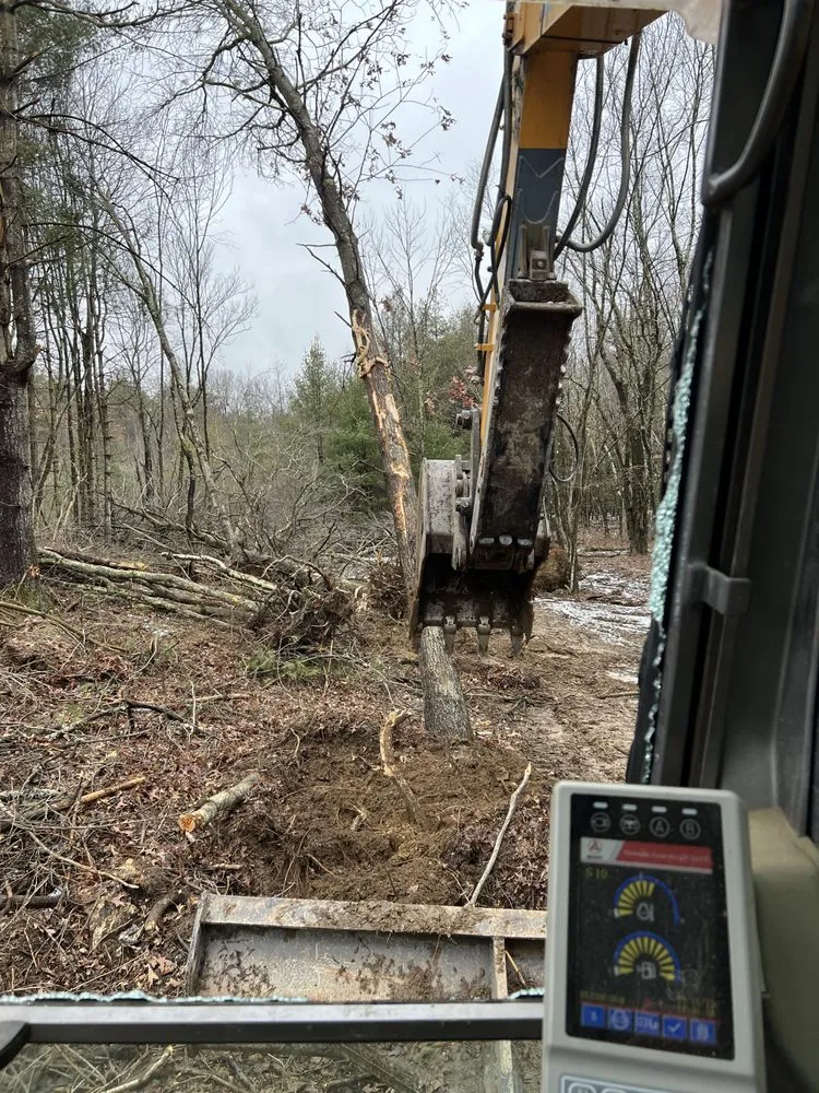 Expert landscape installation for beautiful yards in Nassau, NY by Burls Property Management