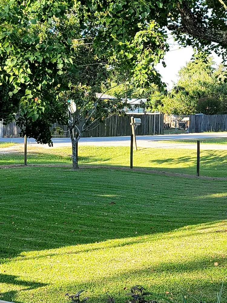 Professional yard maintenance experts serving Crosby, TX - Burmuda mow and more