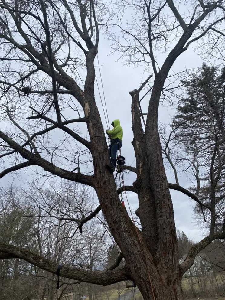Top-rated residential landscaping in Petersburg, NY - Burnell And Sons Landscaping & Tree Removal