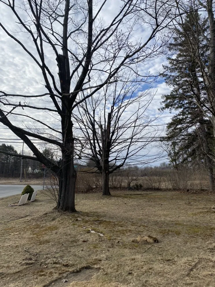 Reliable residential landscaping in Petersburg, NY by Burnell And Sons Landscaping & Tree Removal