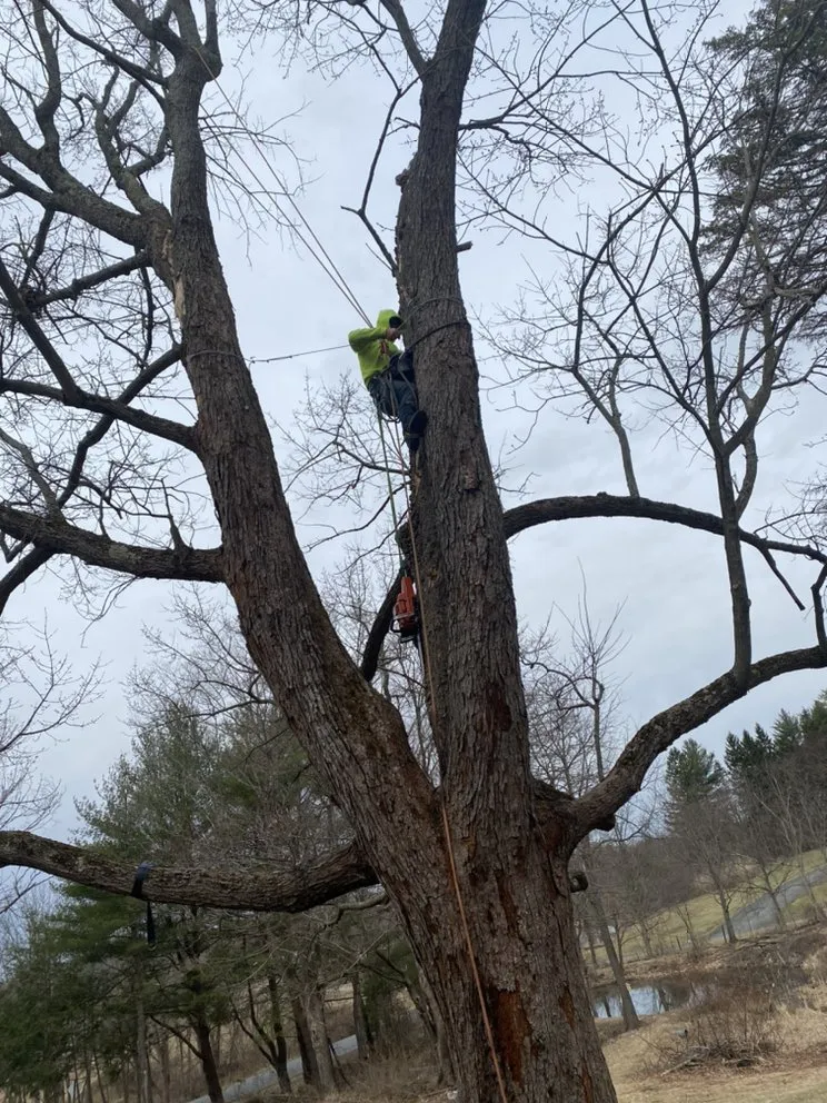 Reliable garden landscaping in Petersburg, NY - Burnell And Sons Landscaping & Tree Removal