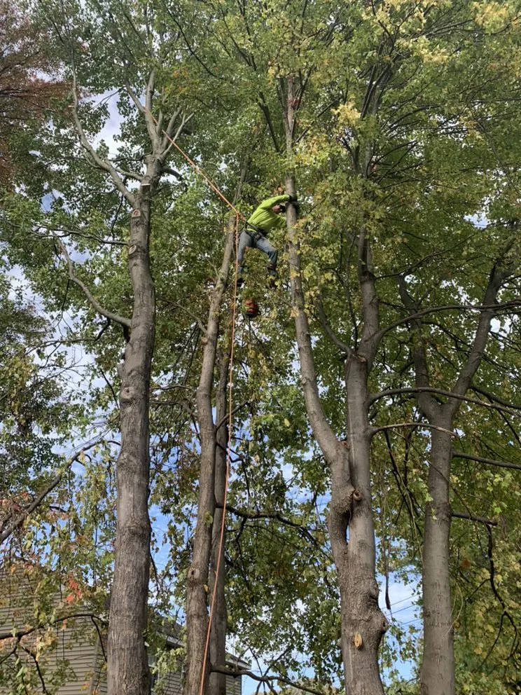 Trusted landscape design in Petersburg, NY by Burnell And Sons Landscaping & Tree Removal