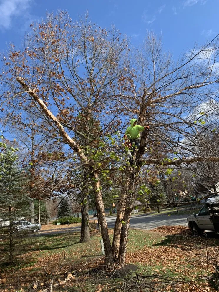 Local yard maintenance for outdoor upgrades across Petersburg, NY - Burnell And Sons Landscaping & Tree Removal