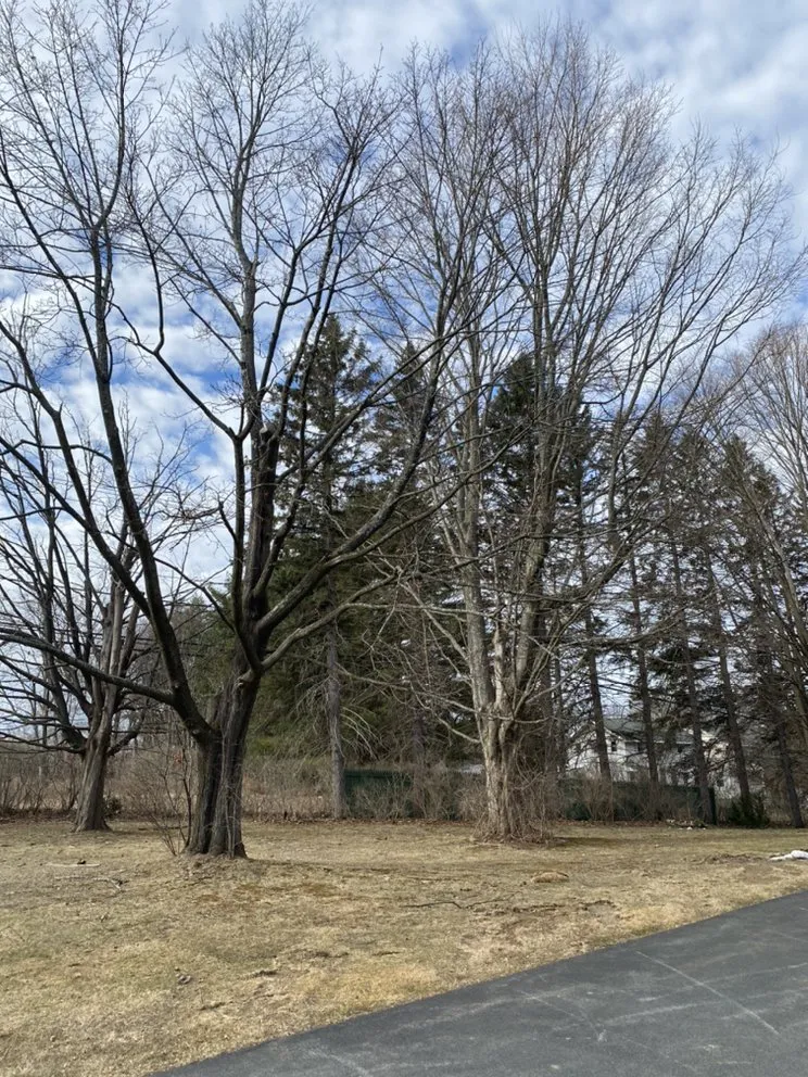 Local yard maintenance experts serving Petersburg, NY - Burnell And Sons Landscaping & Tree Removal