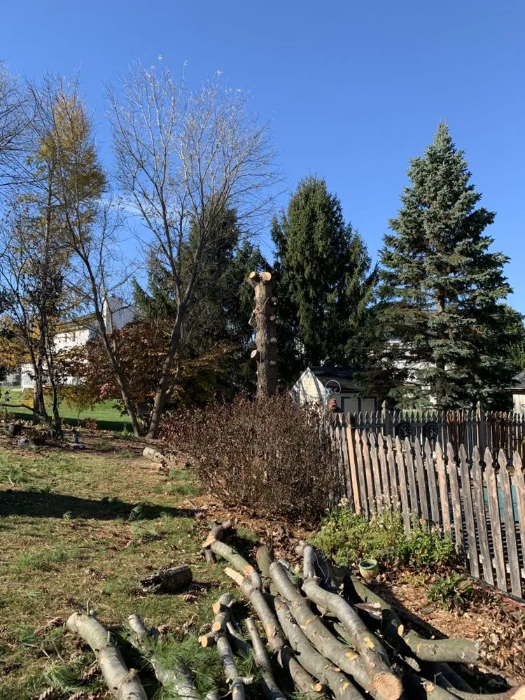 Affordable lawn care service experts serving Petersburg, NY - Burnell And Sons Landscaping & Tree Removal