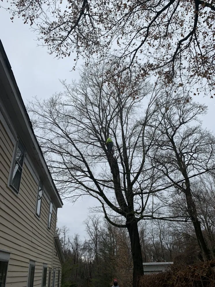 Professional garden landscaping in Petersburg, NY by Burnell And Sons Landscaping & Tree Removal