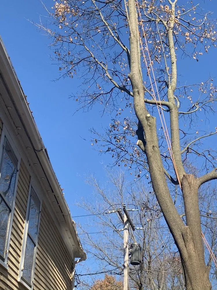 Expert outdoor landscaping experts serving Petersburg, NY - Burnell And Sons Landscaping & Tree Removal
