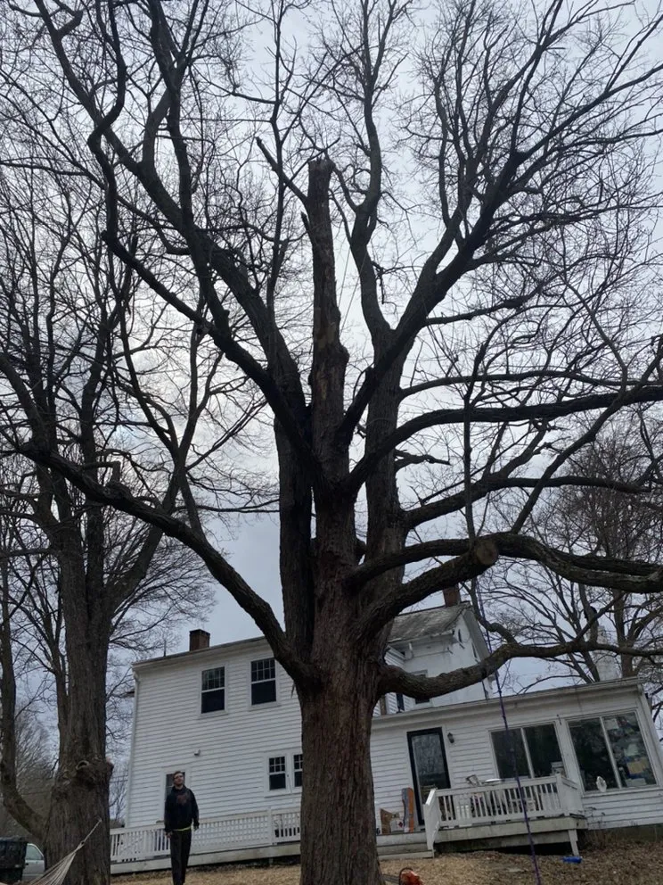 Reliable lawn mowing service for outdoor upgrades in Petersburg, NY by Burnell And Sons Landscaping & Tree Removal