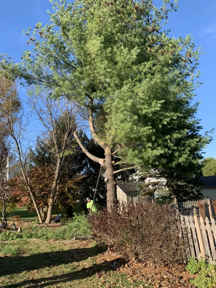 Top-rated landscaping services for year-round maintenance in Petersburg, NY by Burnell And Sons Landscaping & Tree Removal