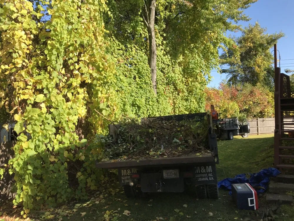 Top-rated yard maintenance experts serving Petersburg, NY - Burnell And Sons Landscaping & Tree Removal