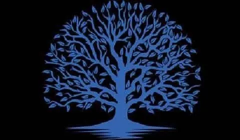 Burnes & Brothers Property Maintenance Logo