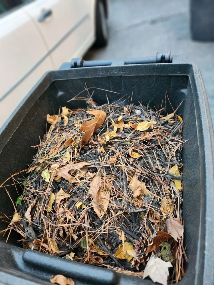 Reliable landscape installation in Richmond, VA by Burnett Professional Landscaping & Maintenance