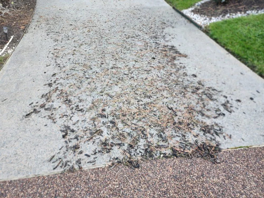 Affordable landscape installation in Richmond, VA by Burnett Professional Landscaping & Maintenance