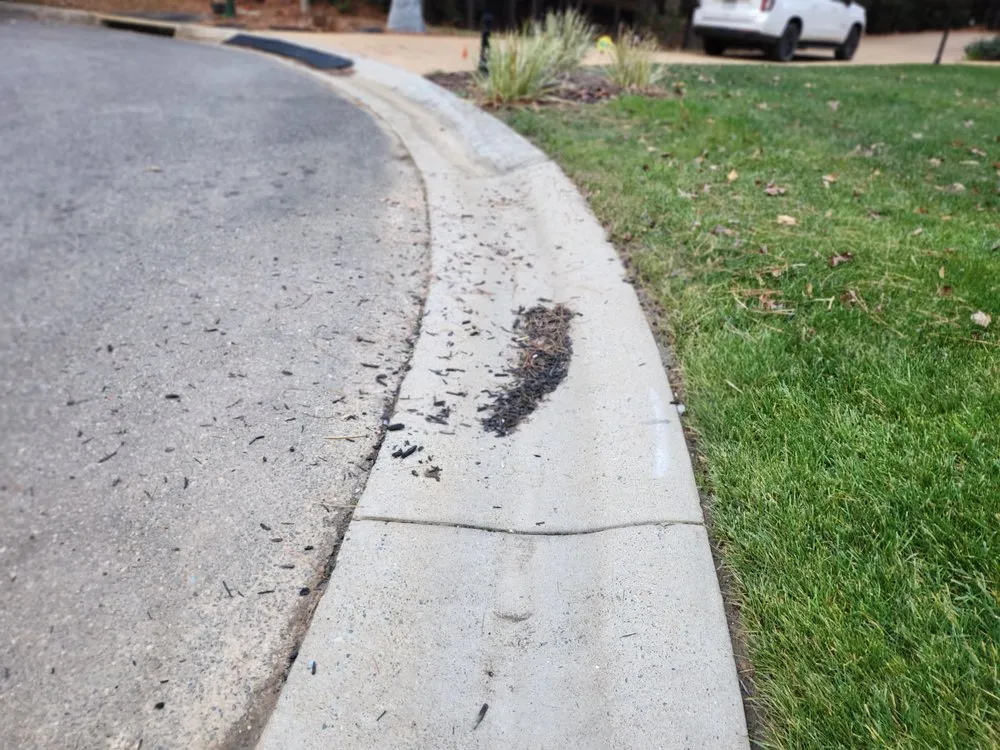 Top-rated outdoor landscaping in Richmond, VA - Burnett Professional Landscaping & Maintenance