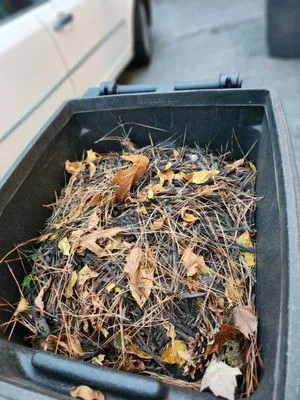 Burnett Professional Landscaping & Maintenance Logo