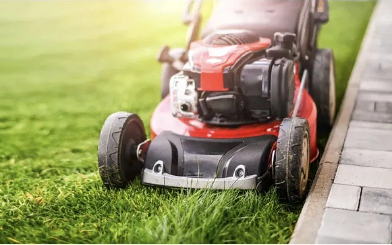 Custom landscaping services for beautiful yards across Moss Point, MS - Burnett’s Lawn Care & Handyman Services