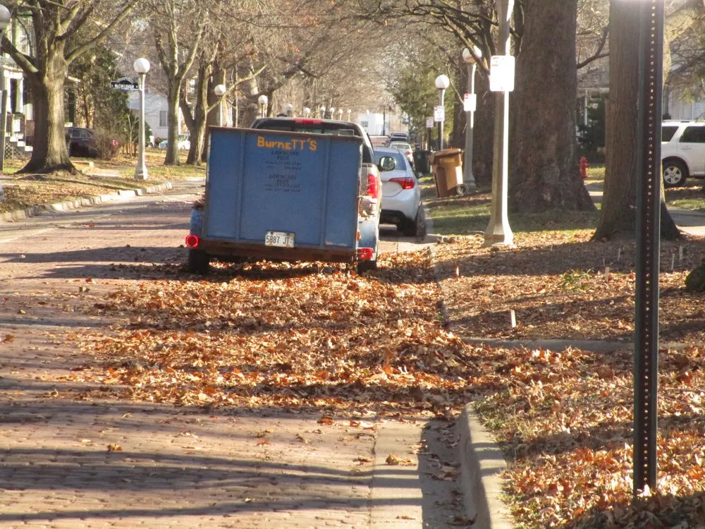 Custom landscaping services in Urbana, IL - Burnett's Lawn Care