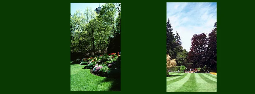 Affordable landscaping services experts serving Holden, MA - Burnham Landscaping & Maintenance