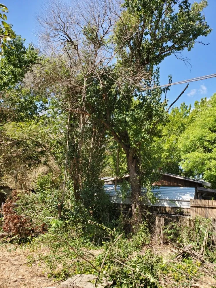 Top-rated lawn care service near you in Fort Worth, TX by Burning Bush Lawn Service