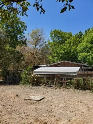 Burning Bush Lawn Service Logo