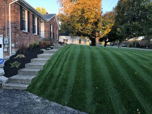 Burns Custom Lawn Care Logo