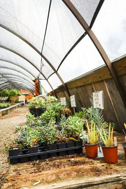 Top-rated lawn mowing service for beautiful yards in Dickson, TN by Burns Garden Center