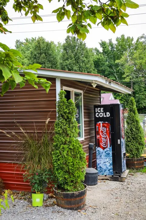 Affordable yard cleanup service experts serving Dickson, TN - Burns Garden Center