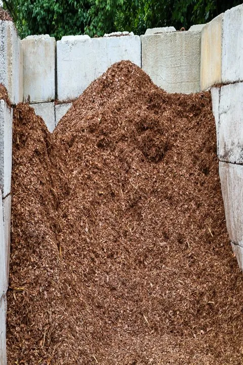 Expert landscaping services in Dickson, TN - Burns Garden Center