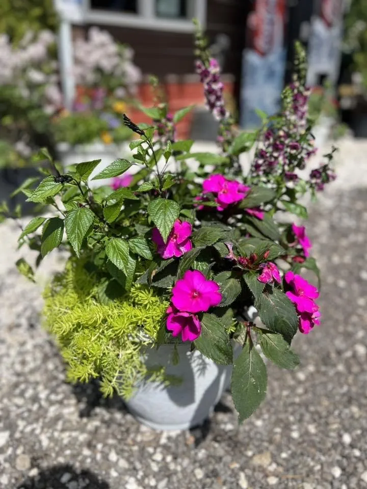 Affordable garden landscaping for homes across Dickson, TN - Burns Garden Center