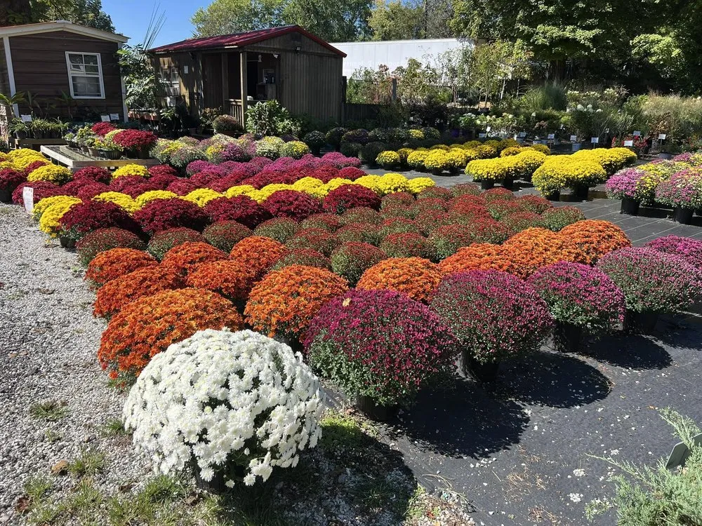 Expert yard maintenance for homes in Dickson, TN by Burns Garden Center