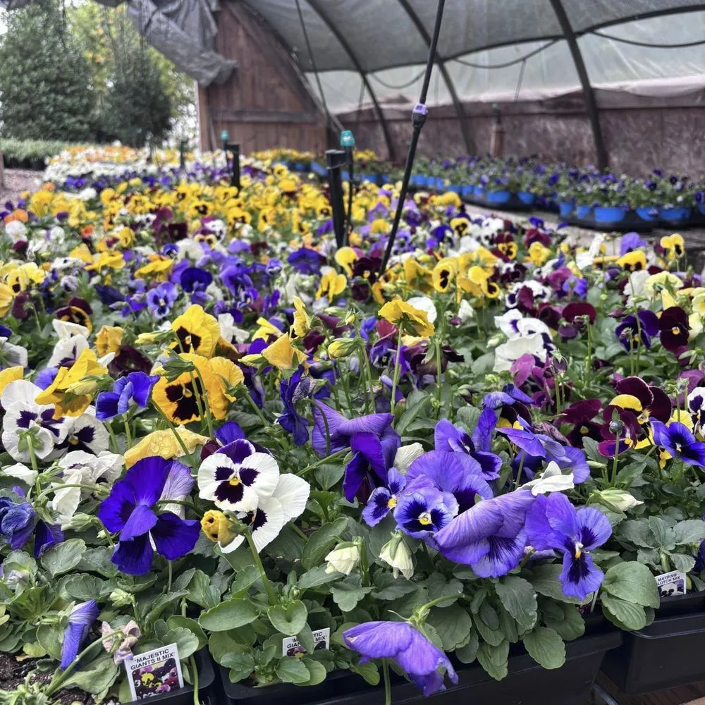 Professional lawn care service for homes in Dickson, TN by Burns Garden Center