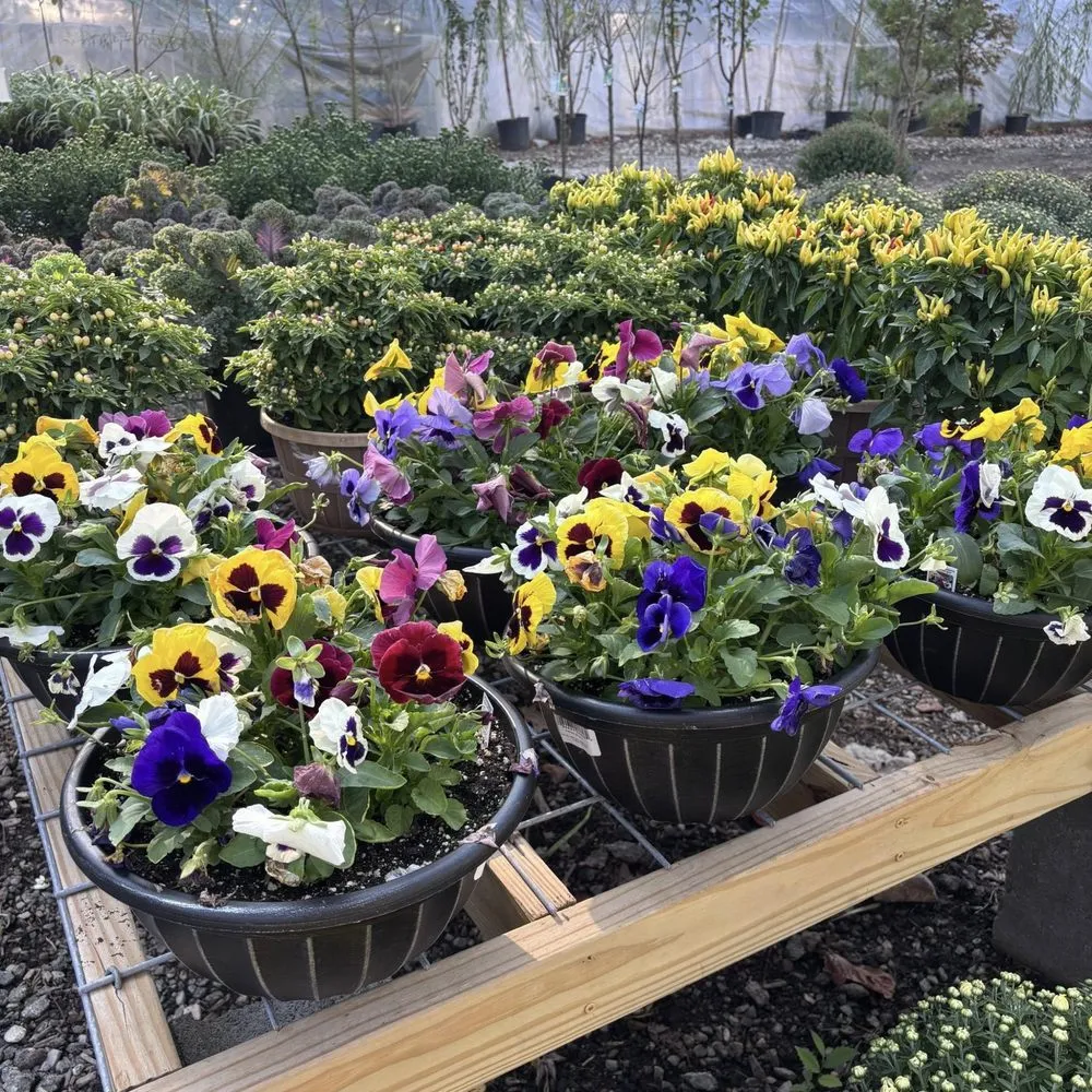 Local lawn mowing service for outdoor upgrades in Dickson, TN by Burns Garden Center