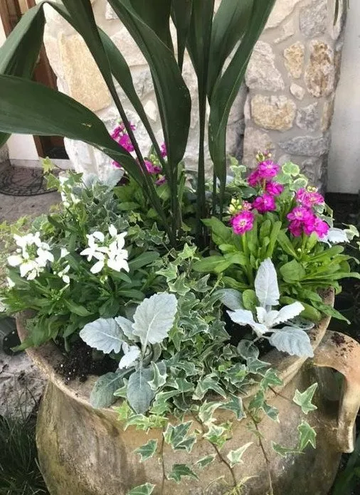 Trusted landscape design in Houston, TX by Burns Landscaping